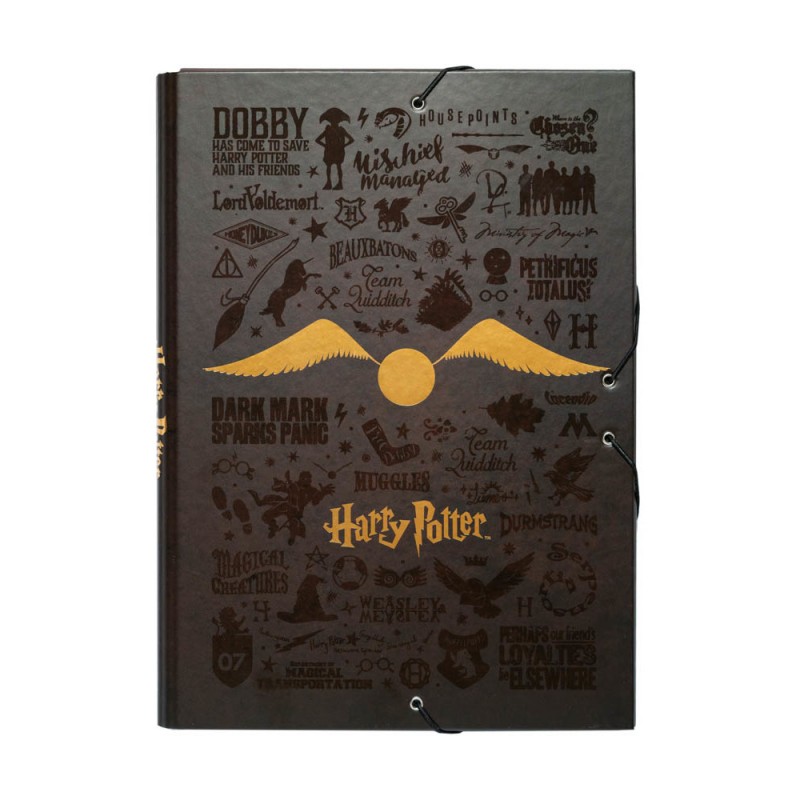 Carpeta premiun Harry Potter