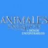 Animales Fantásticos